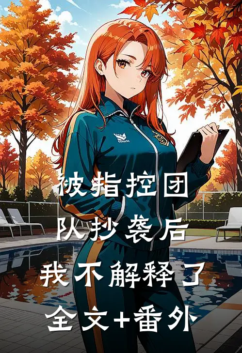 被指控团队抄袭后，我不解释了全文+番外
