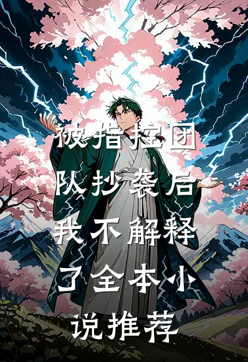 被指控团队抄袭后，我不解释了全本小说推荐