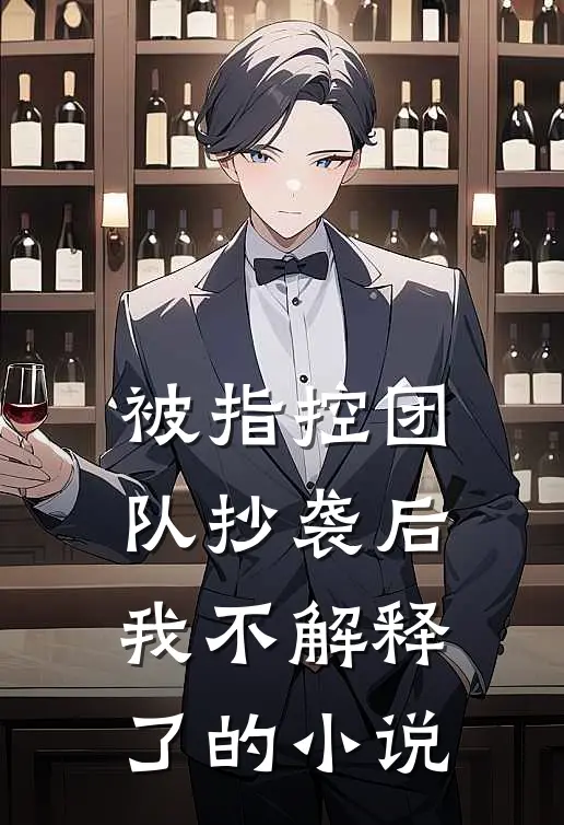 被指控团队抄袭后，我不解释了的小说