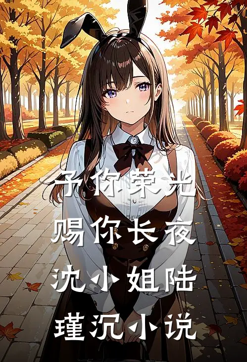 予你荣光，赐你长夜沈小姐陆瑾沉小说