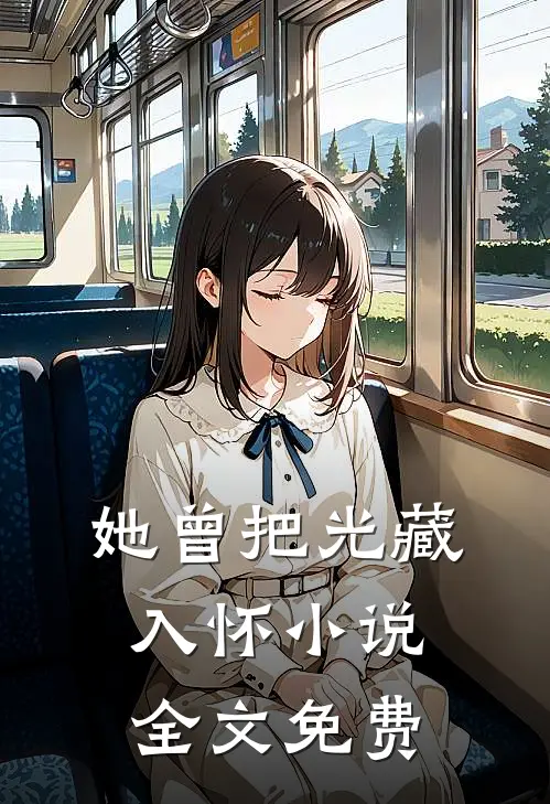 她曾把光藏入怀小说全文免费