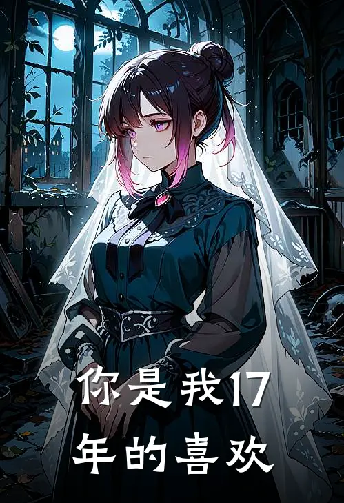 你是我17年的喜欢