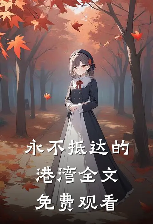 永不抵达的港湾全文免费观看