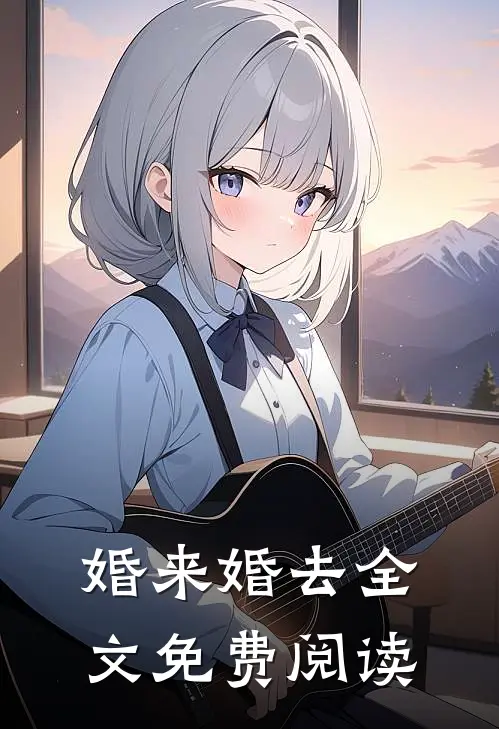 婚来婚去全文免费阅读