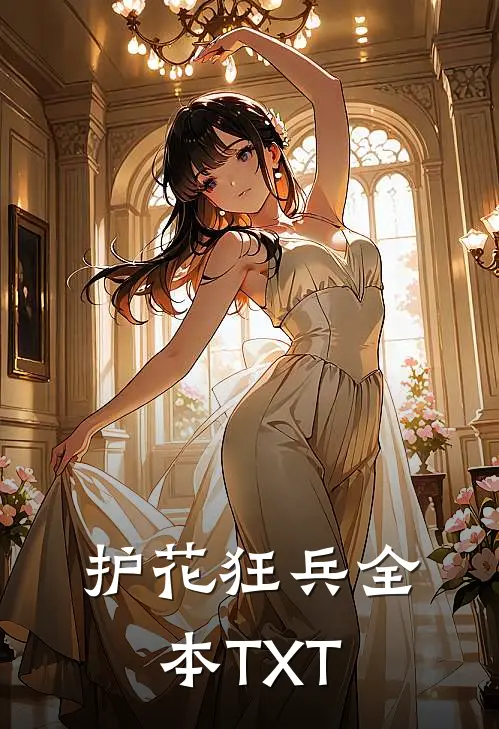 护花狂兵全本TXT