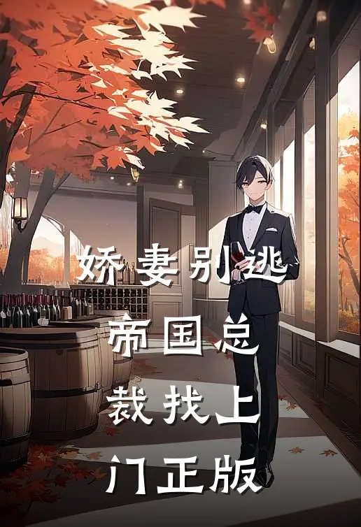 娇妻别逃帝国总裁找上门正版