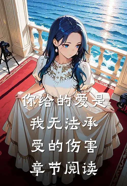你给的爱是我无法承受的伤害章节阅读