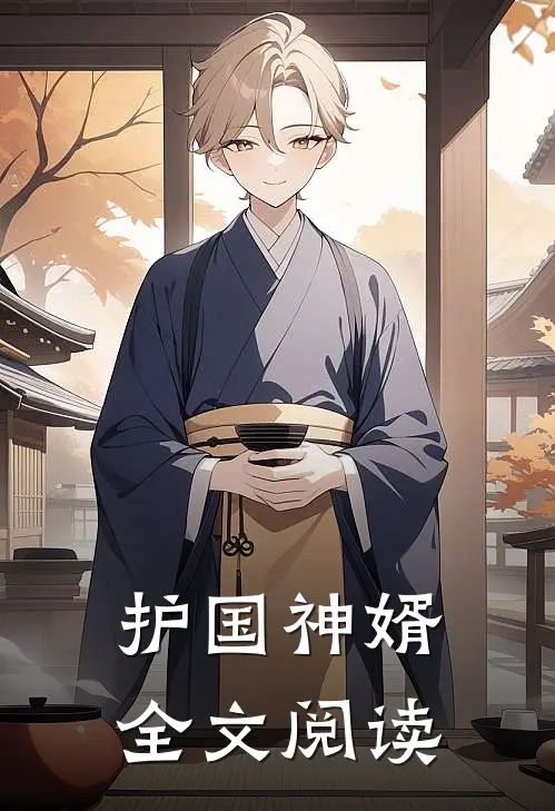 护国神婿全文阅读