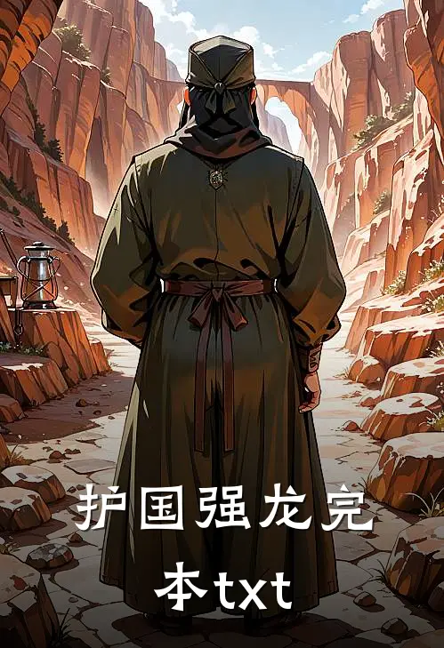 护国强龙完本txt