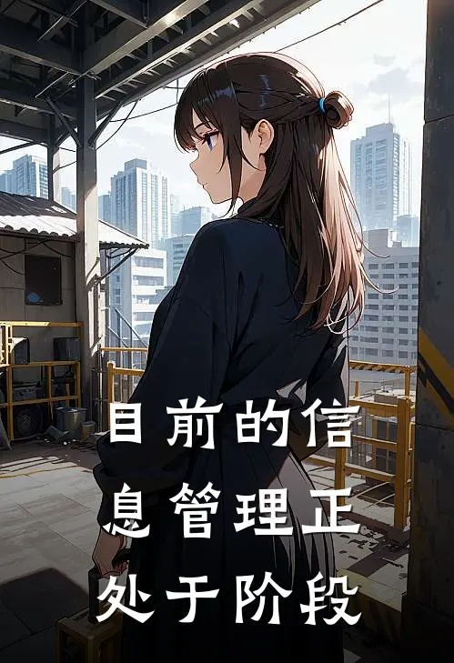目前的信息管理正处于阶段