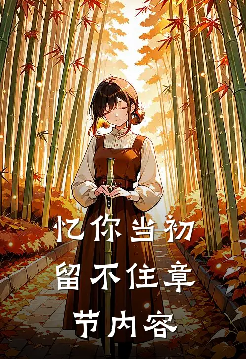忆你当初留不住章节内容