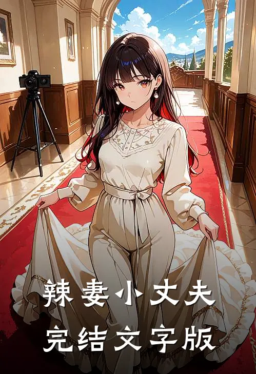 辣妻小丈夫完结文字版