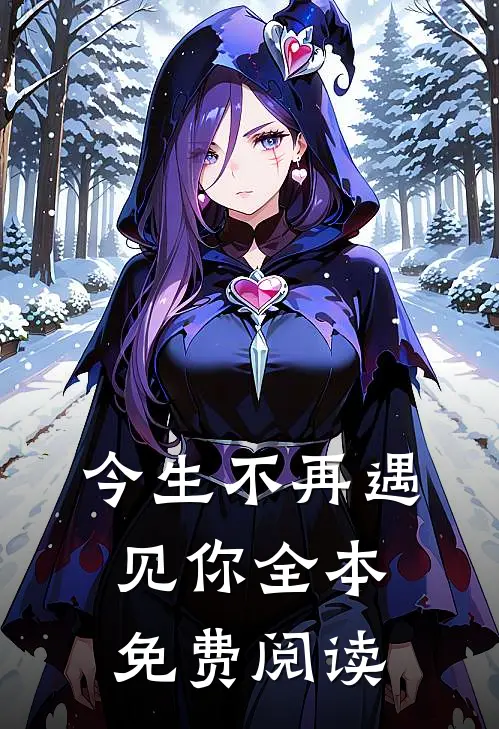 今生不再遇见你全本免费阅读