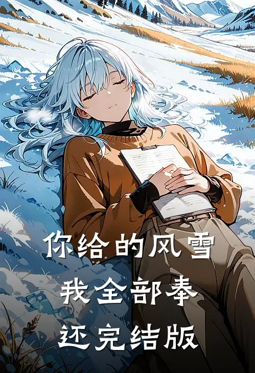 你给的风雪，我全部奉还完结版