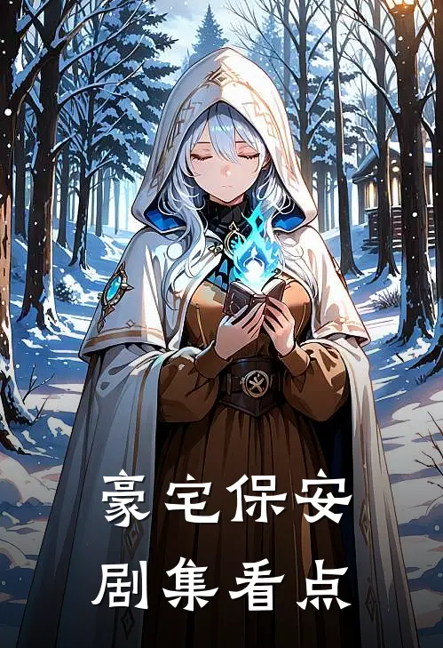 豪宅保安剧集看点