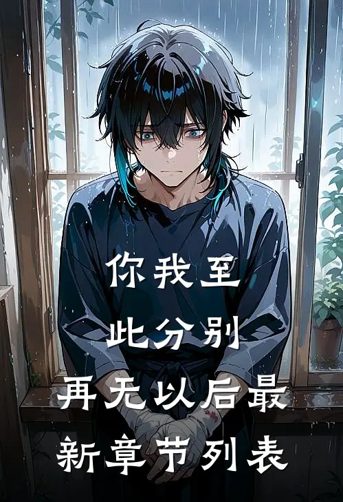 你我至此分别，再无以后最新章节列表