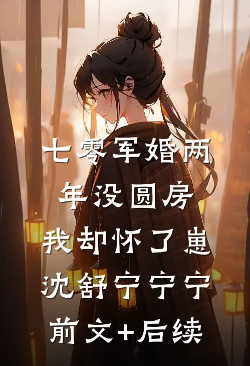 七零军婚两年没圆房，我却怀了崽沈舒宁宁宁前文+后续