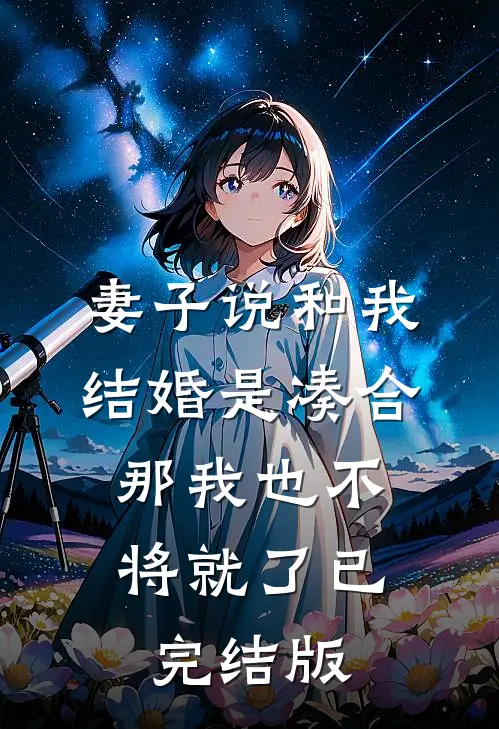 妻子说和我结婚是凑合，那我也不将就了已完结版