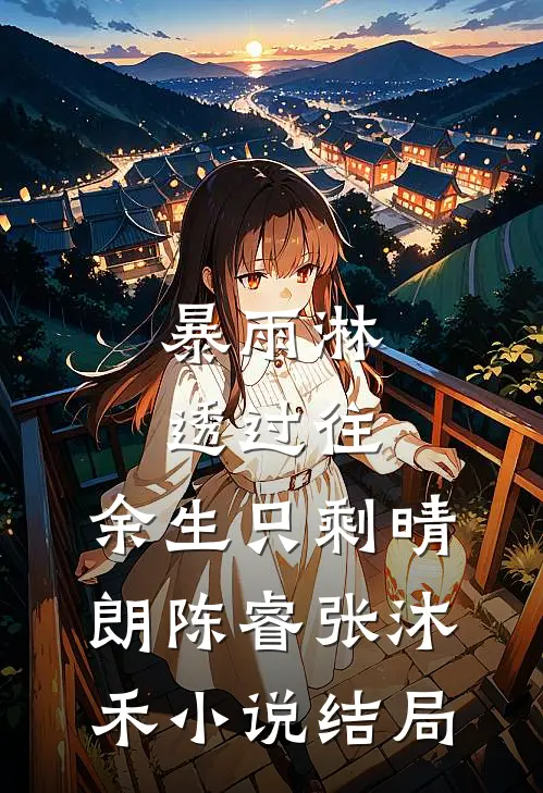 暴雨淋透过往，余生只剩晴朗陈睿张沐禾小说结局