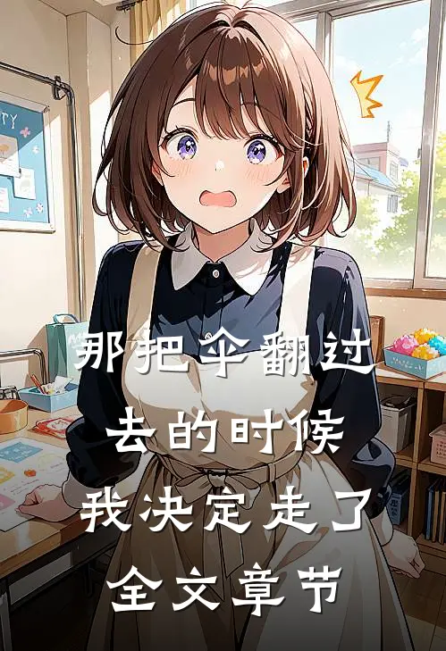 那把伞翻过去的时候，我决定走了全文章节