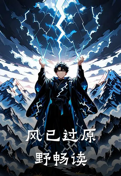 风已过原野畅读