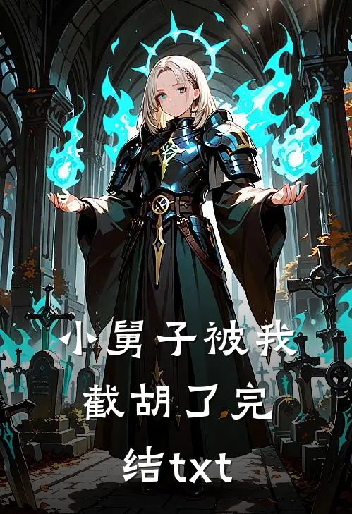 小舅子被我截胡了完结txt