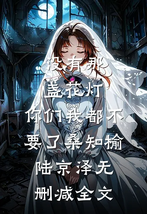 没有那盏花灯，你们我都不要了桑知榆陆京泽无删减全文