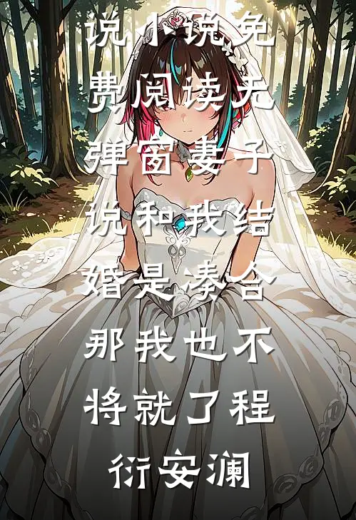 妻子说和我结婚是凑合，那我也不将就了(程衍安澜)免费小说_小说免费阅读无弹窗妻子说和我结婚是凑合，那我也不将就了程衍安澜