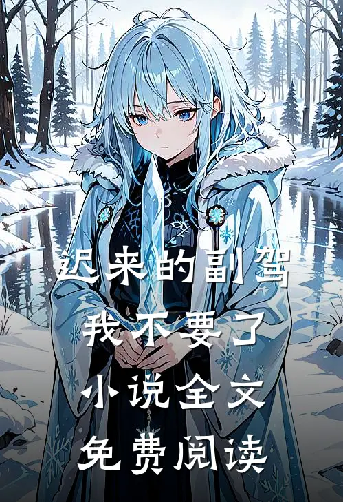 迟来的副驾，我不要了小说全文免费阅读
