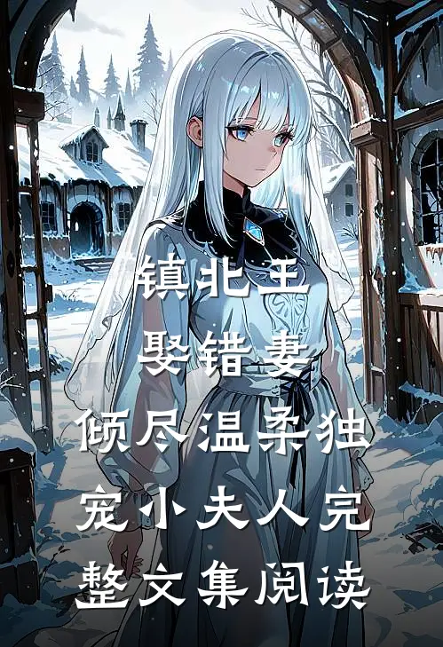镇北王娶错妻，倾尽温柔独宠小夫人完整文集阅读