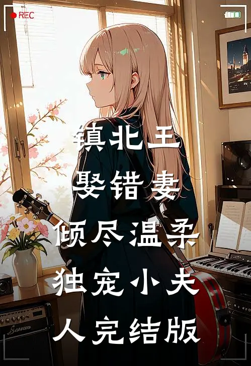 镇北王娶错妻，倾尽温柔独宠小夫人完结版