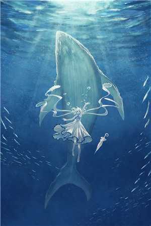 我给岳母捐肾救命，却被老婆嘲笑无能最新章节列表