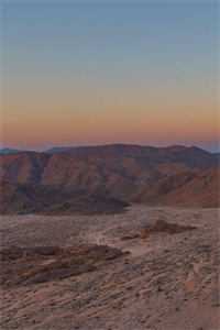 未婚夫和女兄弟在酒吧领证，我摇骰子让他们倾家荡产高口碑