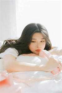 鸿雁长飞光不渡畅读