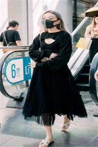 我单身后，富婆姐姐圈蠢蠢欲动章节