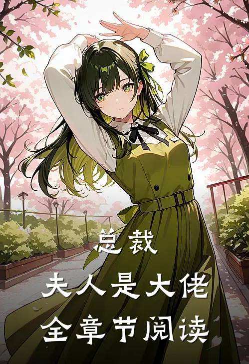 总裁，夫人是大佬全章节阅读