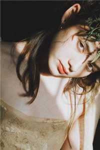 许你一场流星愿连载