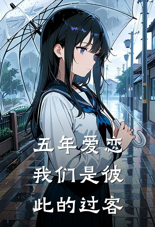 五年爱恋,我们是彼此的过客歌词