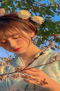 情似流萤，陨于长夜沈清禾谢景琛小说