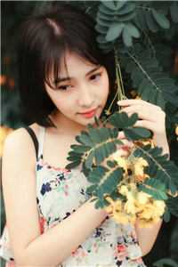 北雁流霜旧人寞精品篇