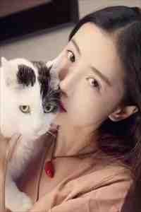 我见夏风无常，你见冬雪凌傲精品选集