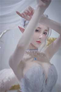 皑皑白雪伴年月目录