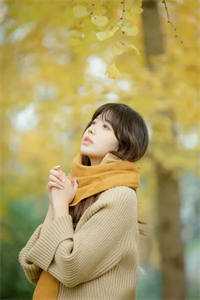 许你人间半阙春完整文集阅读