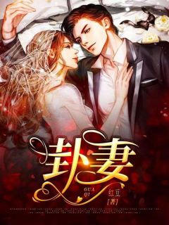 我是赘婿，有个老祖宗娘子很合理吧全文+后续