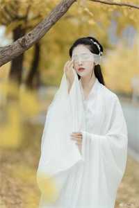 鸿雁长飞光不渡免费看