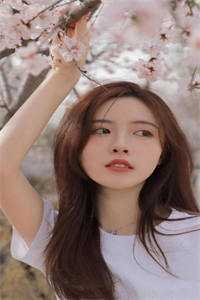 越过高山终见晨光推荐