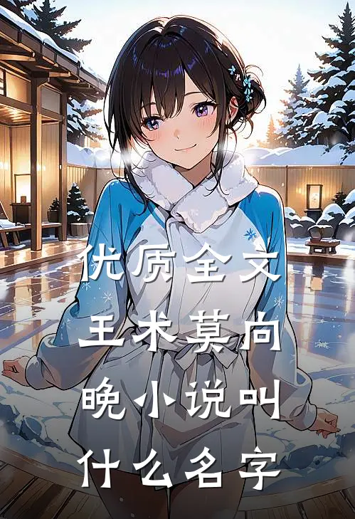优质全文王术莫向晚小说叫什么名字
