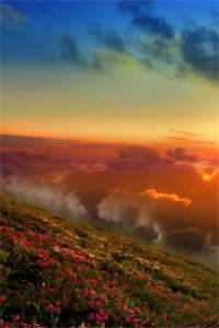 一等功臣遗孤高考加分被污蔑造假，军区杀疯了小说