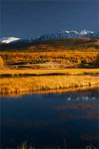 北雪漫漫春已散在线阅读