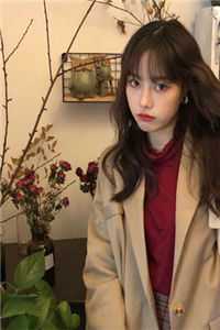 一帘风月暮秋声后续+结局